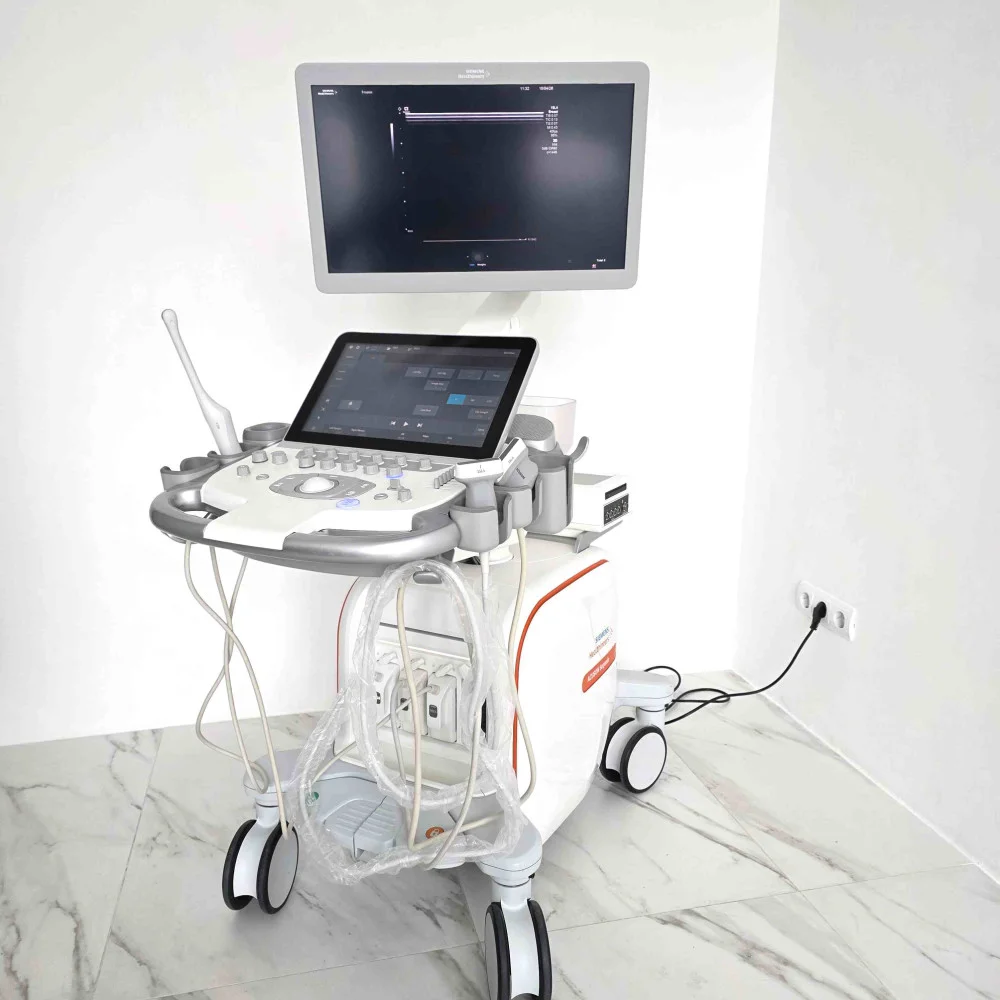 Siemens Acuson Sequoia Physio